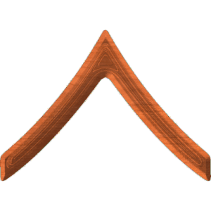 Army Rank E2 Private 2nd Class